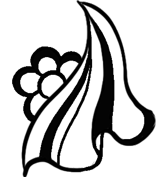 طراحی پارچه